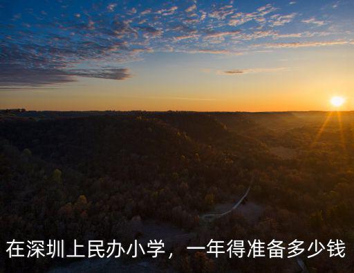 深圳民眾小學多少錢一個學期,一學期還需要繳納多少錢
