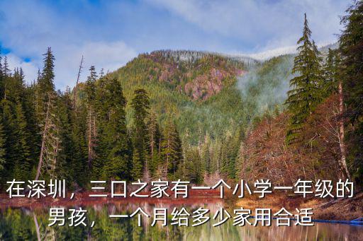 在深圳，三口之家有一個小學一年級的男孩，一個月給多少家用合適