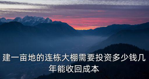 建一畝地的連棟大棚需要投資多少錢幾年能收回成本