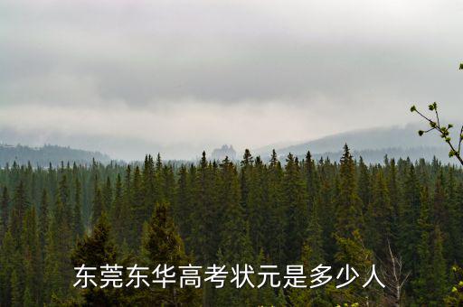 東莞東華學校高三多少個班級,東莞東華中學在全國排名如何