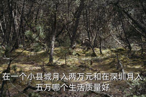 深圳月入五萬的人數(shù)有多少,深圳月薪過萬的人有多少
