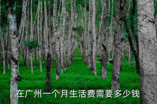 在廣州一個月生活費需要多少錢