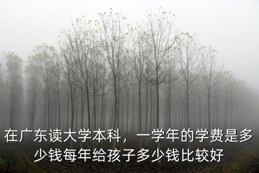 在廣東讀大學(xué)本科，一學(xué)年的學(xué)費(fèi)是多少錢(qián)每年給孩子多少錢(qián)比較好