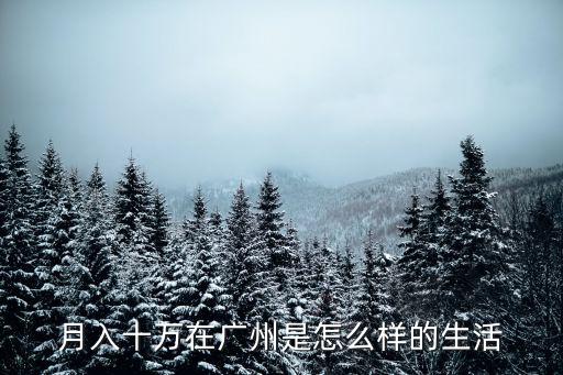 月入十萬在廣州是怎么樣的生活