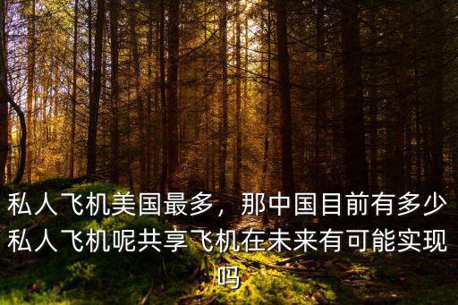 溫州有多少私人飛機(jī),私人飛機(jī)美國(guó)最多