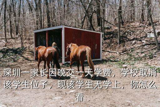 深圳一家長因晚交一天學(xué)費，學(xué)校取消該學(xué)生位子，現(xiàn)該學(xué)生無學(xué)上，你怎么看