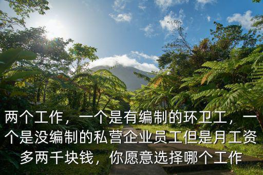 兩個工作，一個是有編制的環衛工，一個是沒編制的私營企業員工但是月工資多兩千塊錢，你愿意選擇哪個工作