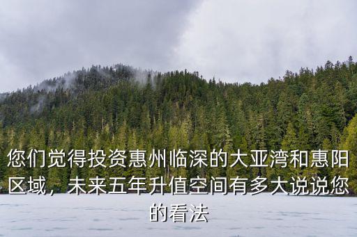 您們覺得投資惠州臨深的大亞灣和惠陽區域，未來五年升值空間有多大說說您的看法