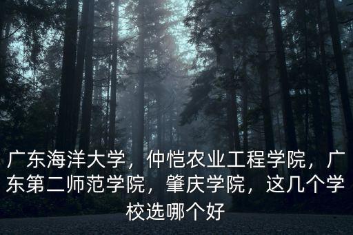廣東海洋大學，仲愷農(nóng)業(yè)工程學院，廣東第二師范學院，肇慶學院，這幾個學校選哪個好