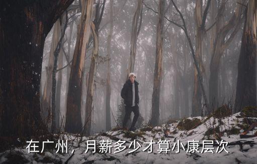 在廣州，月薪多少才算小康層次