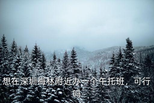 想在深圳梅林附近辦一個午托班，可行嗎