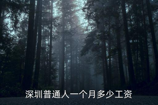 深圳愛帝宮工資多少,深圳的工資一般都是多少
