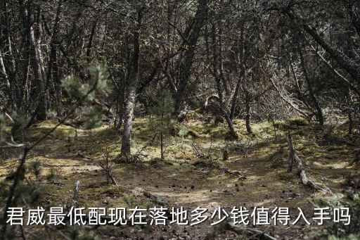 在廣州買君威多少錢,全款落地大約多少錢