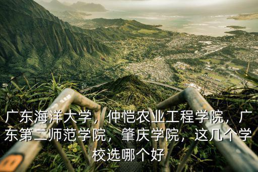 廣東海洋大學，仲愷農業工程學院，廣東第二師范學院，肇慶學院，這幾個學校選哪個好