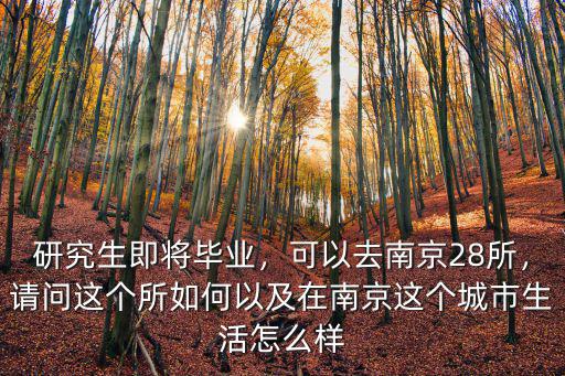 研究生即將畢業，可以去南京28所，請問這個所如何以及在南京這個城市生活怎么樣