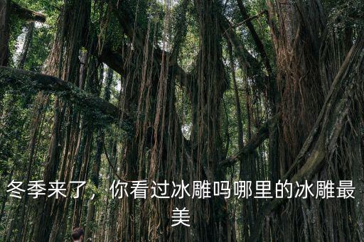 廣東哪里能看冰雕,南方人去東北看冰雕