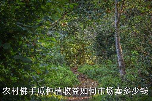 廣州市場佛手瓜賣多少錢,市場賣多少錢