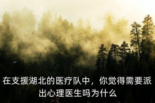廣東省支援湖北醫療隊多少人,在支援湖北的醫療隊中
