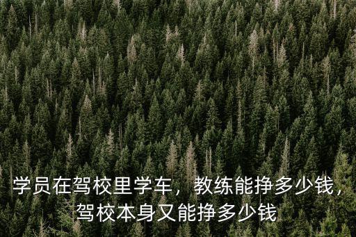 廣州駕校一個學員利潤有多少,駕校一個學員賺多少錢