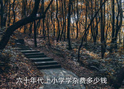 六十年代上小學學雜費多少錢