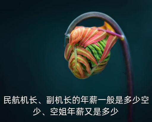 民航機(jī)長、副機(jī)長的年薪一般是多少空少、空姐年薪又是多少