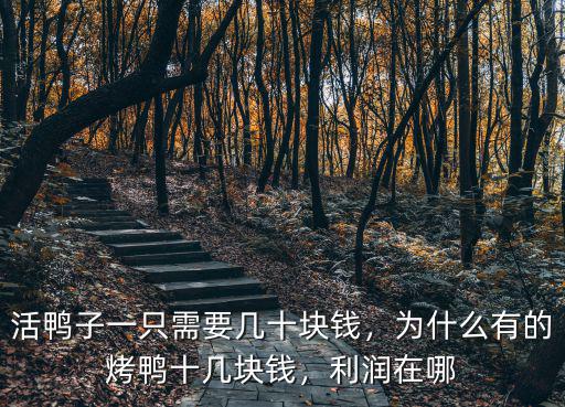 活鴨子一只需要幾十塊錢，為什么有的烤鴨十幾塊錢，利潤(rùn)在哪