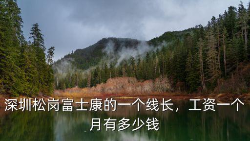 深圳富士康五險一金扣多少錢一個月多少錢,深圳松崗富士康的一個線長
