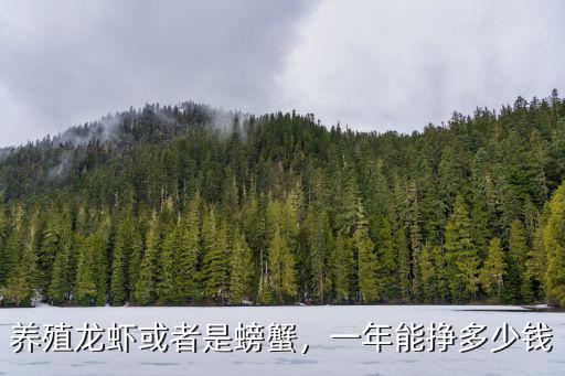 養殖龍蝦或者是螃蟹，一年能掙多少錢