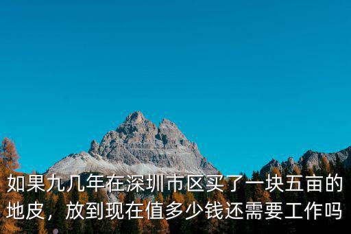 如果九幾年在深圳市區買了一塊五畝的地皮，放到現在值多少錢還需要工作嗎