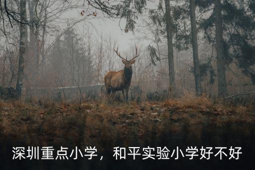 深圳和平小學有多少所,深圳重點小學