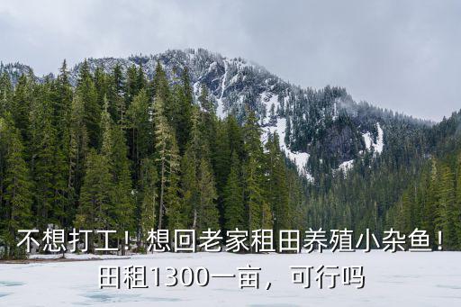 廣東租田魚塘多少一畝,10畝魚塘需要多少錢