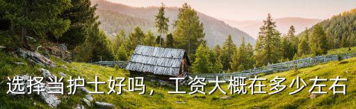 廣東省內醫院護士工資多少,護士行業工資有多少