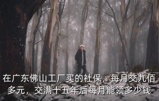 佛山社保交夠15年后能領(lǐng)多少錢,交滿十五年后每月能領(lǐng)多少錢