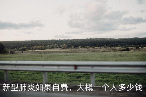新型肺炎如果自費(fèi)，大概一個(gè)人多少錢