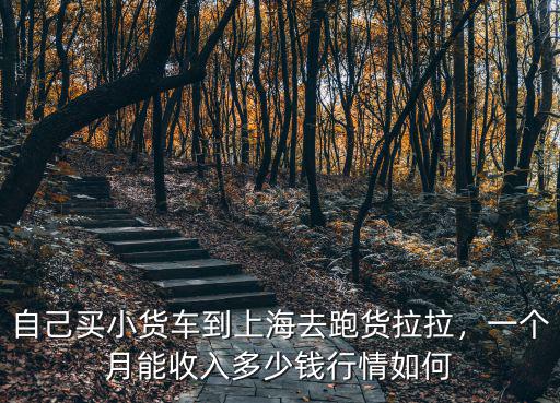 自己買小貨車到上海去跑貨拉拉，一個(gè)月能收入多少錢行情如何
