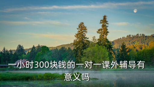 一小時300塊錢的一對一課外輔導(dǎo)有意義嗎