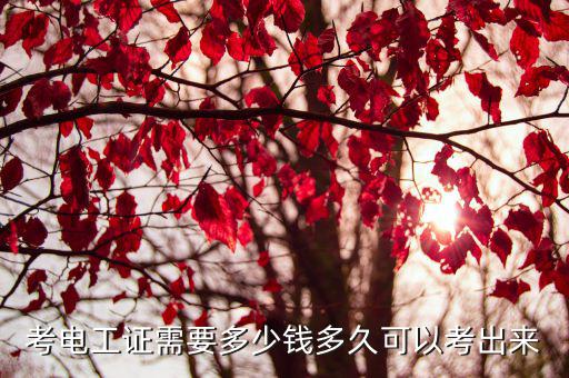 陽江市考電工證要多少錢,電工證怎么考