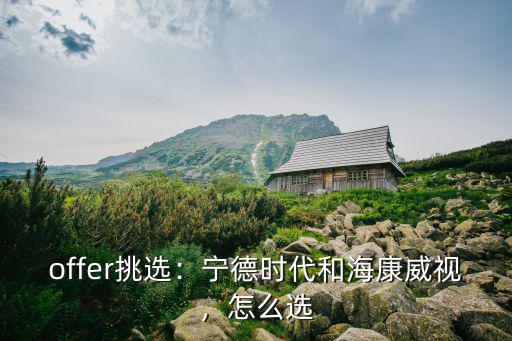 offer挑選：寧德時代和海康威視，怎么選