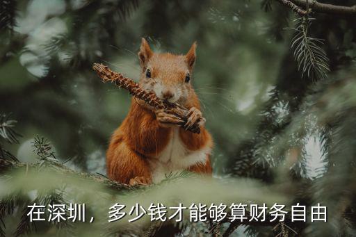 在深圳，多少錢才能夠算財務自由