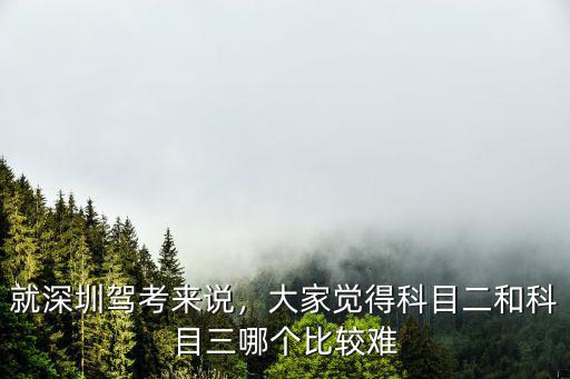 深圳開車難問題怎么解決,在深圳不怎么會(huì)開車