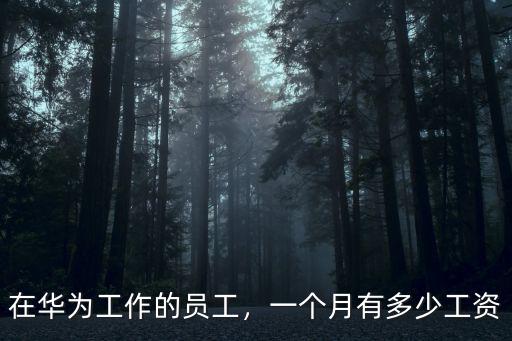 在華為工作的員工，一個(gè)月有多少工資
