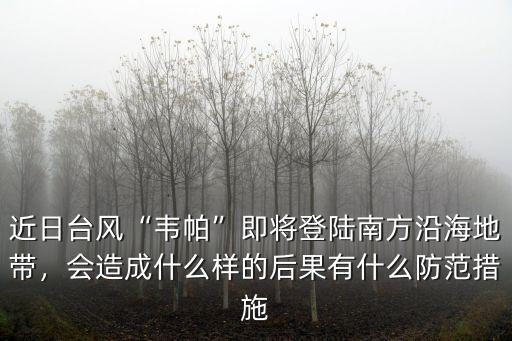 近日臺風“韋帕”即將登陸南方沿海地帶，會造成什么樣的后果有什么防范措施