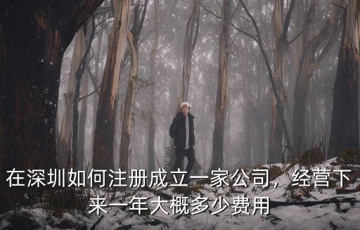 在深圳如何注冊成立一家公司，經(jīng)營下來一年大概多少費用