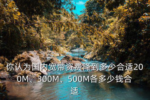 你認(rèn)為國(guó)內(nèi)寬帶資費(fèi)降到多少合適200M、300M、500M各多少錢(qián)合適
