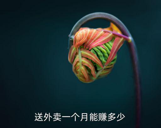 送外賣一個月能賺多少