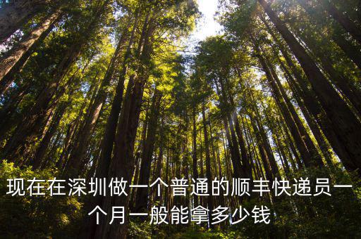 深圳新手送快遞一個月多少,在深圳送快遞怎么樣