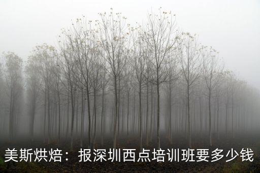 美斯烘焙：報深圳西點培訓班要多少錢