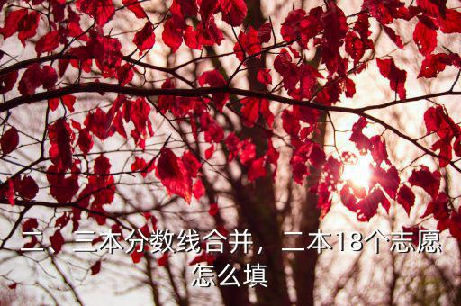 二、三本分?jǐn)?shù)線合并，二本18個(gè)志愿怎么填
