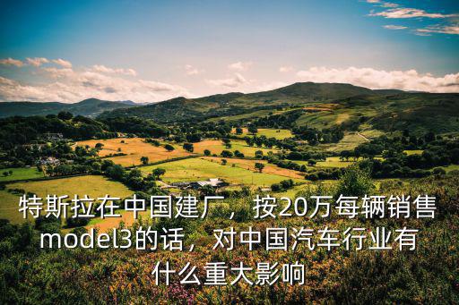 特斯拉在中國建廠，按20萬每輛銷售model3的話，對中國汽車行業有什么重大影響