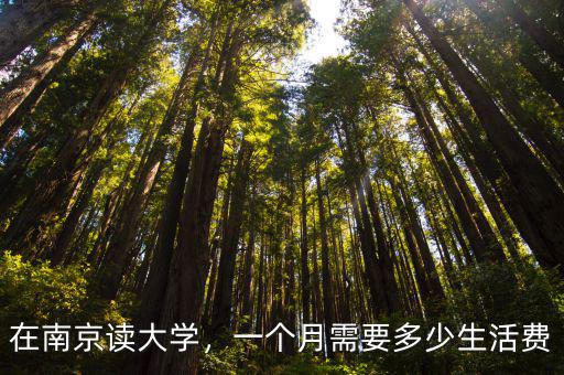 南京大學(xué)生生活費(fèi)一個(gè)月要多少,一個(gè)月需要多少生活費(fèi)